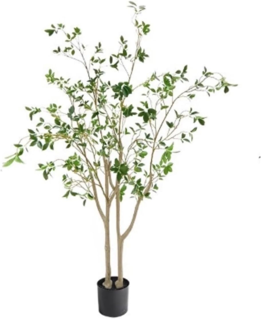 馬酔木（アセビ）盆栽 SS011 アセビ 樹 形